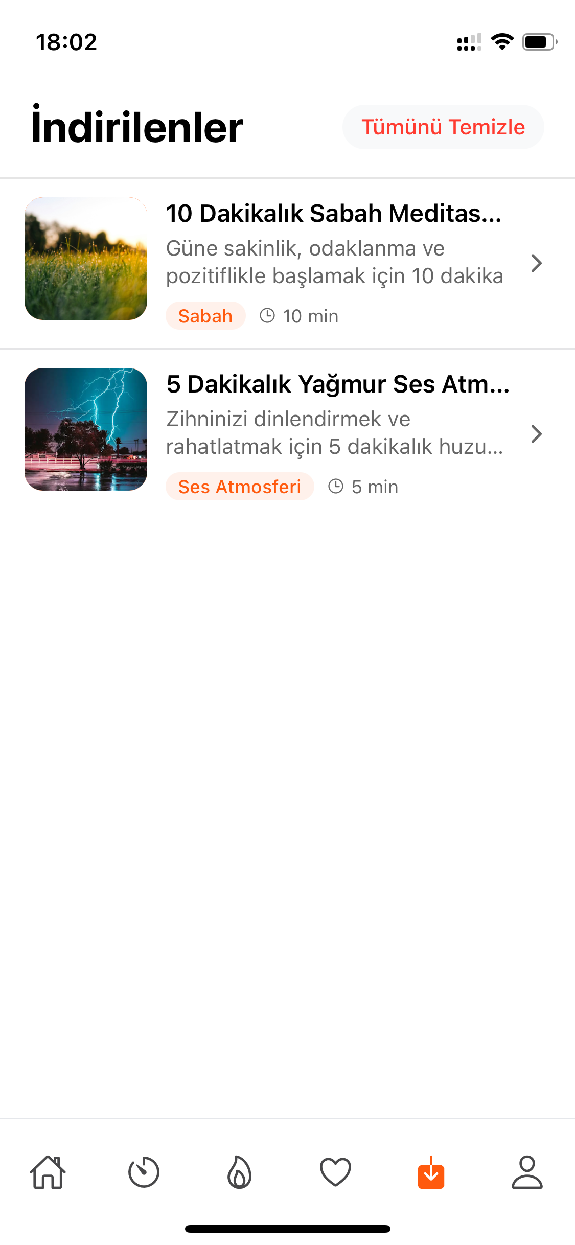 Çevrimdışı kütüphane